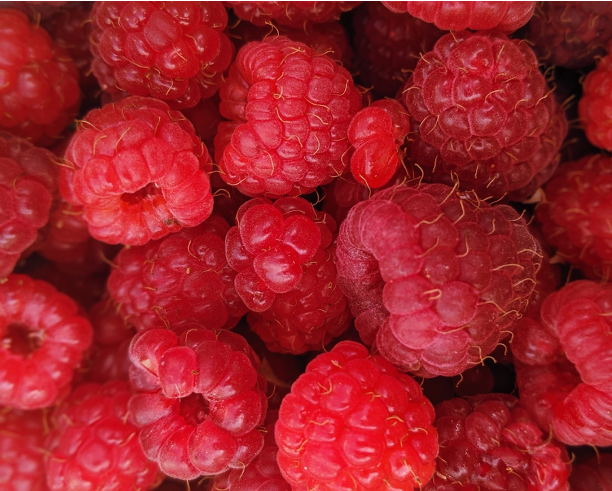Die Vielfalt der süßen Sommerfrucht – Himbeeren im Rampenlicht